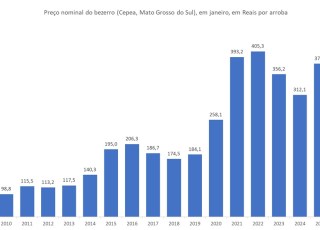 Preço da arroba do bezerro em janeiro, entre 2010 e a parcial de 2025