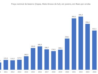 Preço da arroba do bezerro em janeiro, entre 2010 e a parcial de 2025