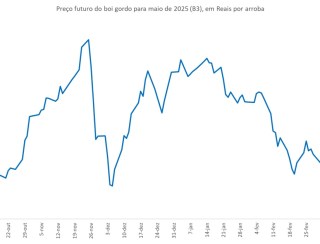 Preço futuro do boi gordo: volátil, mas com viés de alta