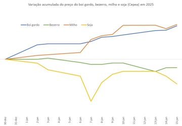 Preço do boi gordo, bezerro, milho e soja na primeira metade de março de 2025