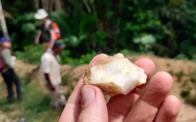 Primeiros humanos viveram em florestas tropicais há 150 mil anos, diz estudo