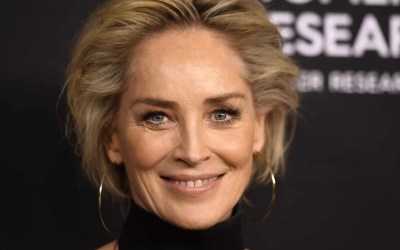 Sharon Stone diz que foi demitida sem motivo de novo filme de Blake Lively