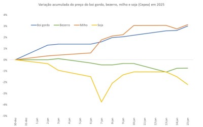 Preço do boi gordo, bezerro, milho e soja na primeira metade de março de 2025