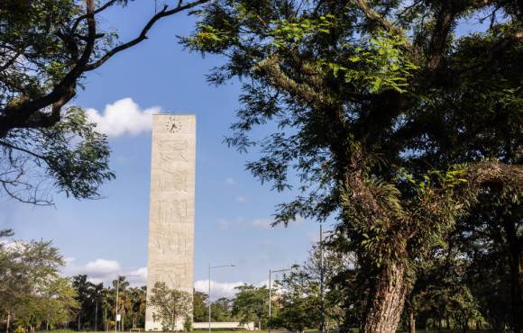 Campus Butantã da USP ficará fechado para atividades esportivas neste sábado (15) em razão de danos causados pelo temporal