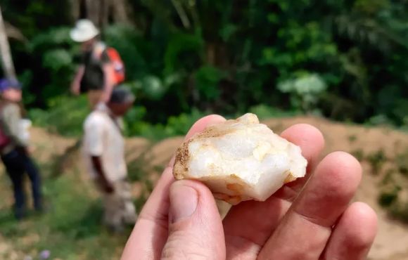 Primeiros humanos viveram em florestas tropicais há 150 mil anos, diz estudo