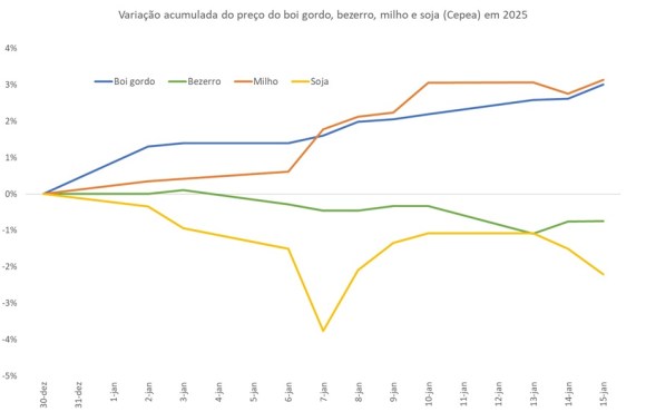 Preço do boi gordo, bezerro, milho e soja na primeira metade de março de 2025